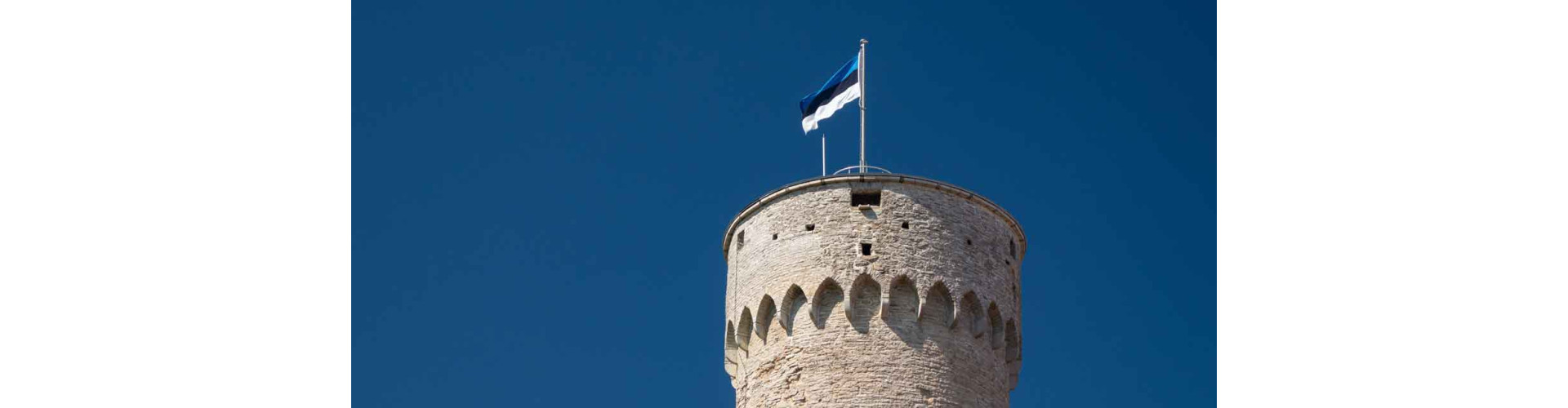 What You Need To Know About The Estonian Business Market Today